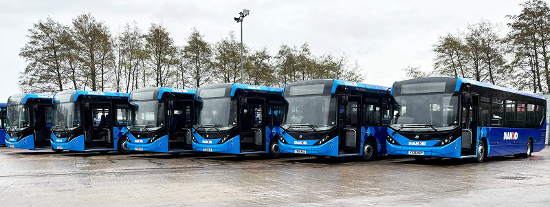 Diamond Buses